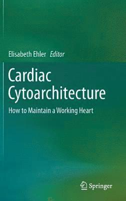 Cardiac Cytoarchitecture 1