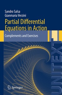 bokomslag Partial Differential Equations in Action