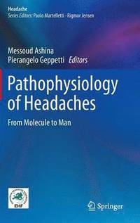 bokomslag Pathophysiology of Headaches