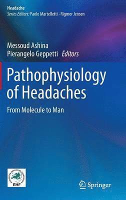 Messoud Ashina, Pierangelo Geppetti - Pathophysiology of Headaches, Inbunden