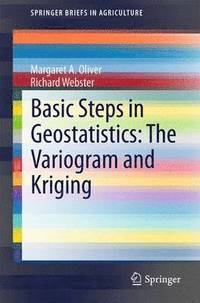 bokomslag Basic Steps in Geostatistics: The Variogram and Kriging