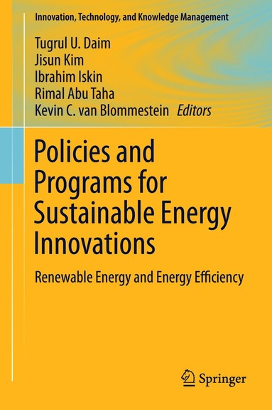 bokomslag Policies and Programs for Sustainable Energy Innovations