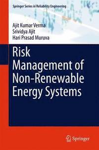 bokomslag Risk Management of Non-Renewable Energy Systems