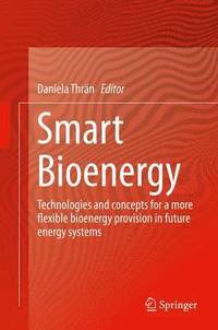 bokomslag Smart Bioenergy