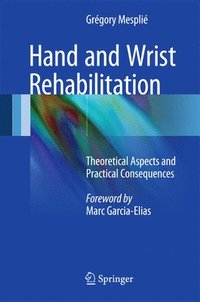bokomslag Hand and Wrist Rehabilitation