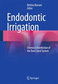 bokomslag Endodontic Irrigation