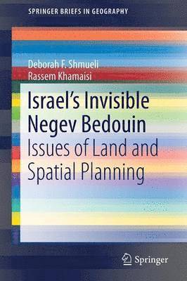 bokomslag Israel's Invisible Negev Bedouin