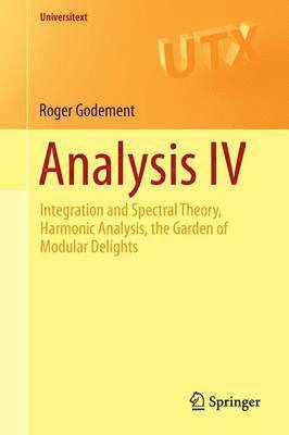 bokomslag Analysis IV