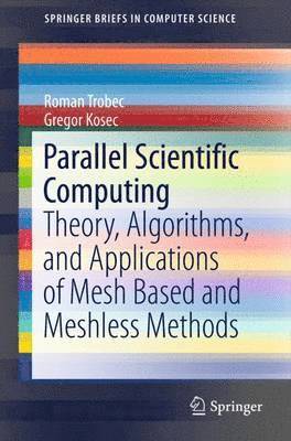 bokomslag Parallel Scientific Computing