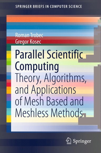 bokomslag Parallel Scientific Computing