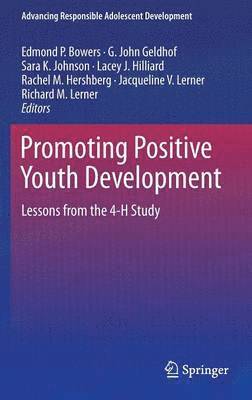 bokomslag Promoting Positive Youth Development