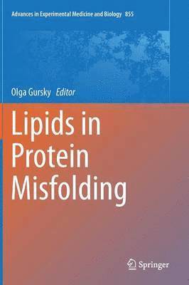 bokomslag Lipids in Protein Misfolding