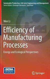 bokomslag Efficiency of Manufacturing Processes