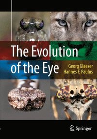 bokomslag The Evolution of the Eye