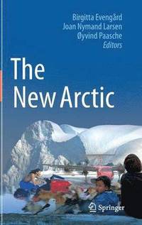 bokomslag The New Arctic