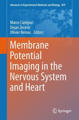 Membrane Potential Imaging in the Nervous System and Heart 1