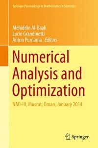 bokomslag Numerical Analysis and Optimization