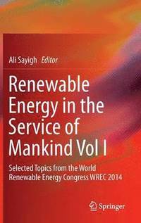 bokomslag Renewable Energy in the Service of Mankind Vol I