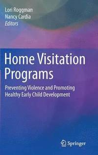 bokomslag Home Visitation Programs