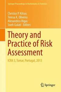 bokomslag Theory and Practice of Risk Assessment