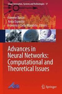 bokomslag Advances in Neural Networks: Computational and Theoretical Issues