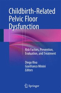 bokomslag Childbirth-Related Pelvic Floor Dysfunction