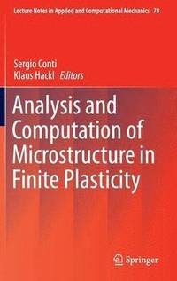 bokomslag Analysis and Computation of Microstructure in Finite Plasticity