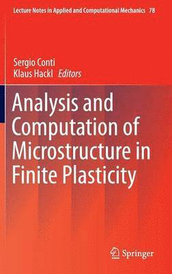 bokomslag Analysis and Computation of Microstructure in Finite Plasticity