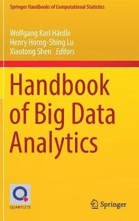 bokomslag Handbook of Big Data Analytics