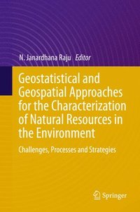 bokomslag Geostatistical and Geospatial Approaches for the Characterization of Natural Resources in the Environment