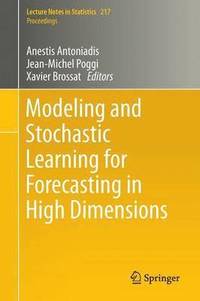 bokomslag Modeling and Stochastic Learning for Forecasting in High Dimensions