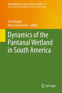 bokomslag Dynamics of the Pantanal Wetland in South America