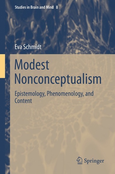 bokomslag Modest Nonconceptualism