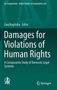 bokomslag Damages for Violations of Human Rights