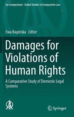 Damages for Violations of Human Rights 1