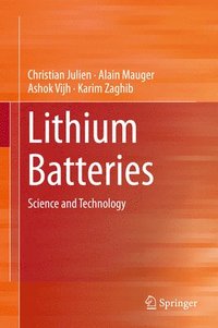 bokomslag Lithium Batteries