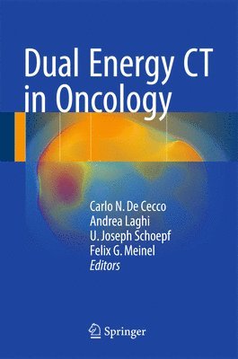 bokomslag Dual Energy CT in Oncology