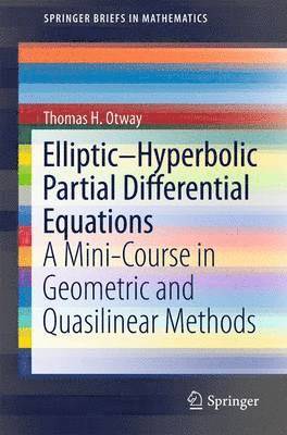 EllipticHyperbolic Partial Differential Equations 1