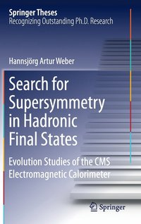 bokomslag Search for Supersymmetry in Hadronic Final States