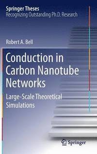 bokomslag Conduction in Carbon Nanotube Networks