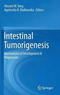 bokomslag Intestinal Tumorigenesis