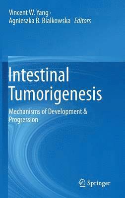 bokomslag Intestinal Tumorigenesis