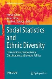 bokomslag Social Statistics and Ethnic Diversity