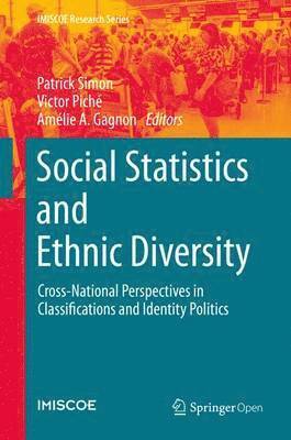 bokomslag Social Statistics and Ethnic Diversity