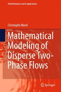 bokomslag Mathematical Modeling of Disperse Two-Phase Flows