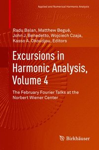 bokomslag Excursions in Harmonic Analysis, Volume 4