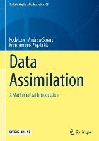 bokomslag Data Assimilation