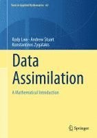 bokomslag Data Assimilation