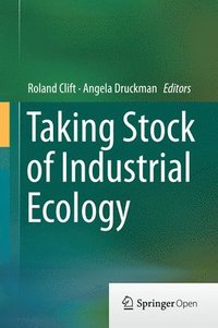 bokomslag Taking Stock of Industrial Ecology