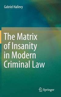 bokomslag The Matrix of Insanity in Modern Criminal Law
